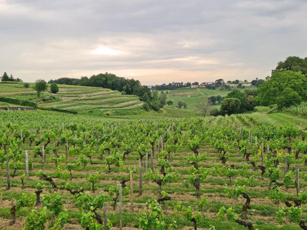 Maison Cosy Avec Vue Sur Les Vignes. Libourne Dış mekan fotoğraf