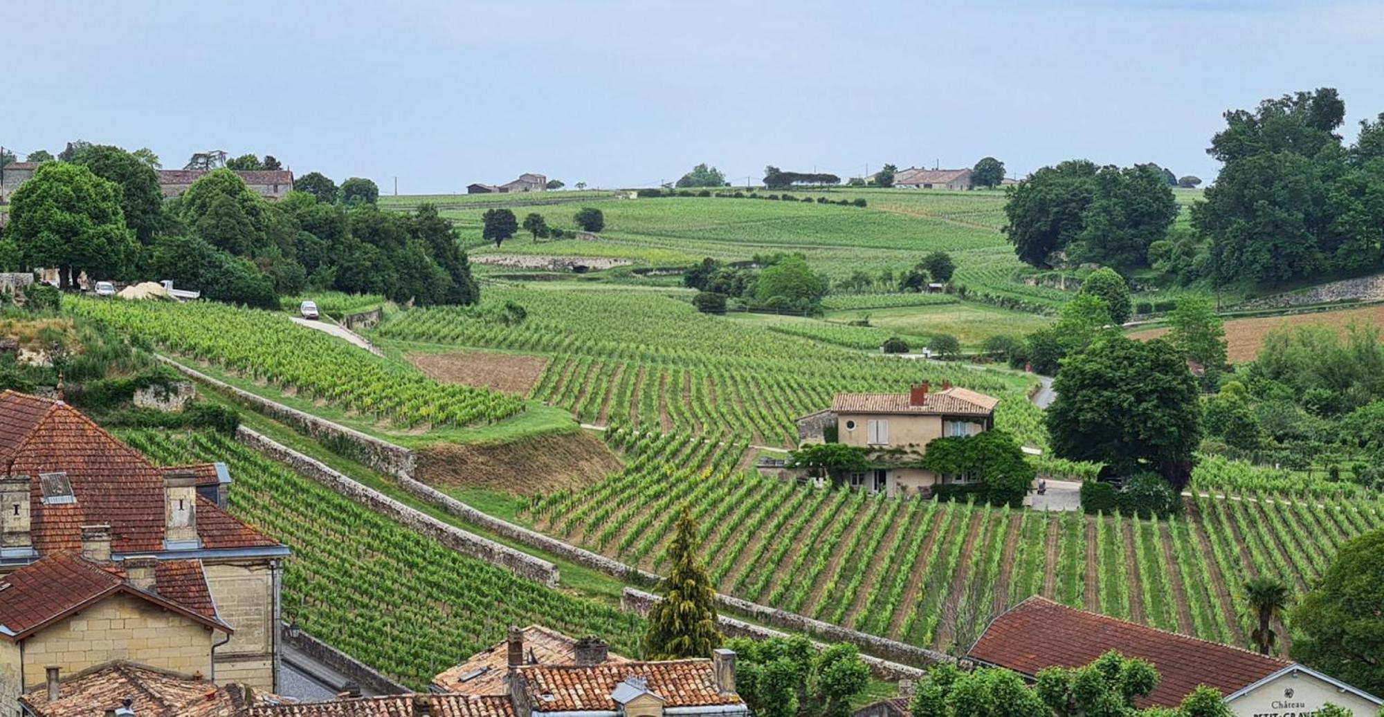 Maison Cosy Avec Vue Sur Les Vignes. Libourne Dış mekan fotoğraf