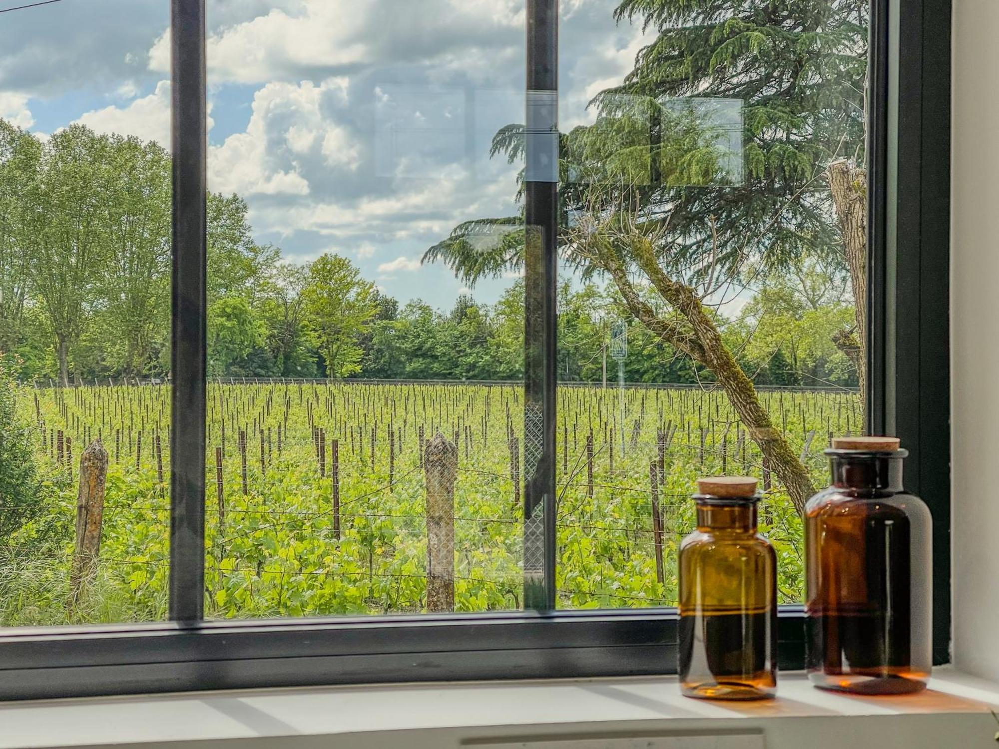 Maison Cosy Avec Vue Sur Les Vignes. Libourne Dış mekan fotoğraf